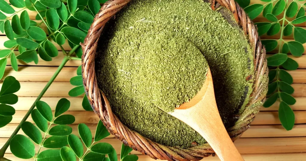 Moringa's role in supporting the immune system