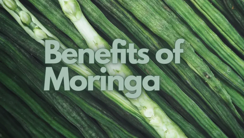 Top Health Benefits Moringa oleifera