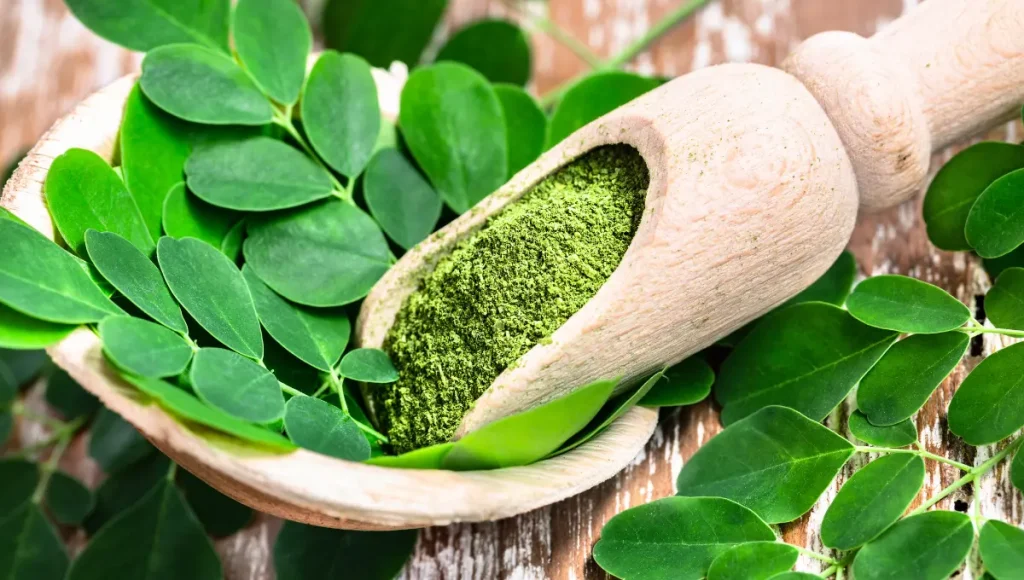 Top Health Benefits of Moringa oleifera