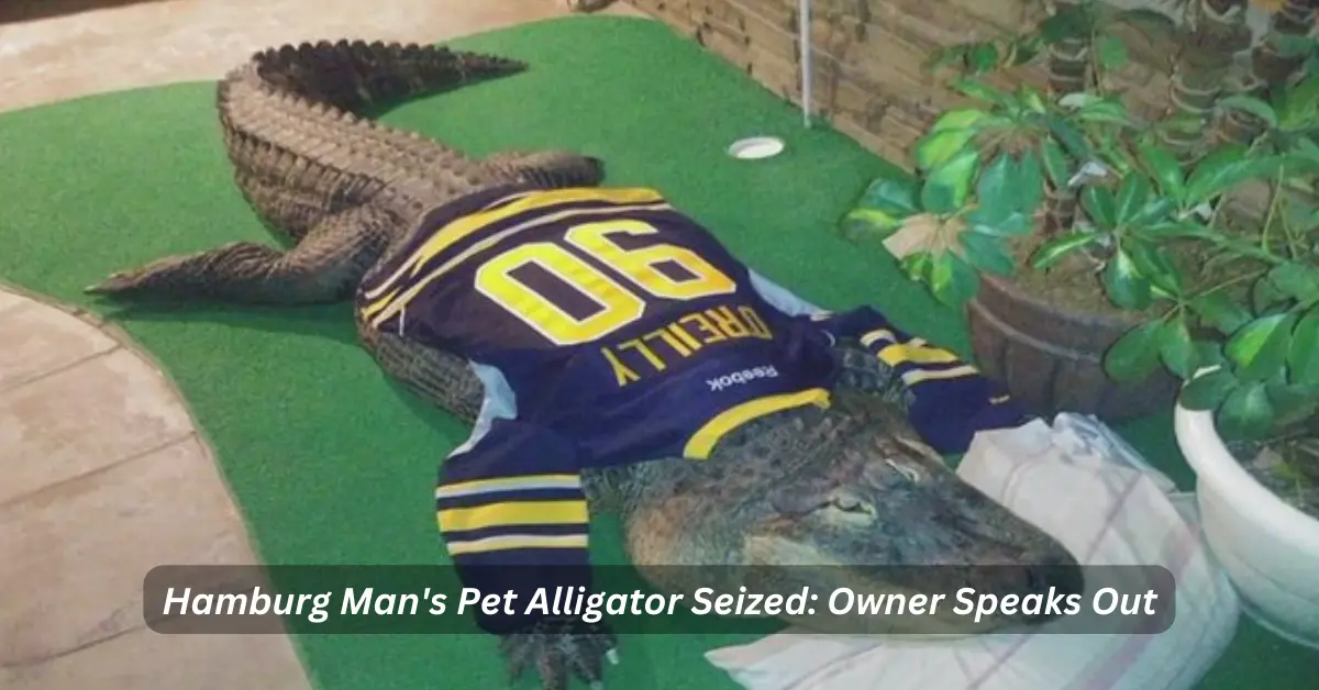 Hamburg Resident After Alligator Removal from Home