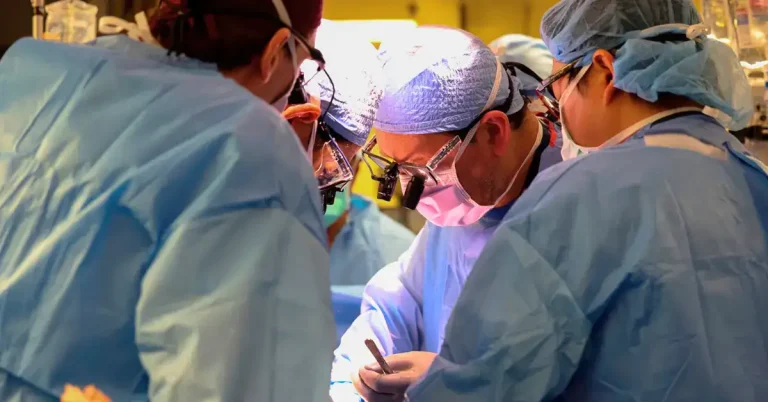 Landmark Achievement Surgeons Successfully Implant Genetically Modified Pig Kidney in Human- frontnews24