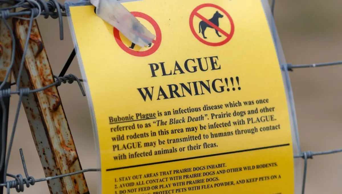New Mexico Resident Succumbs to Uncommon Plague Infection